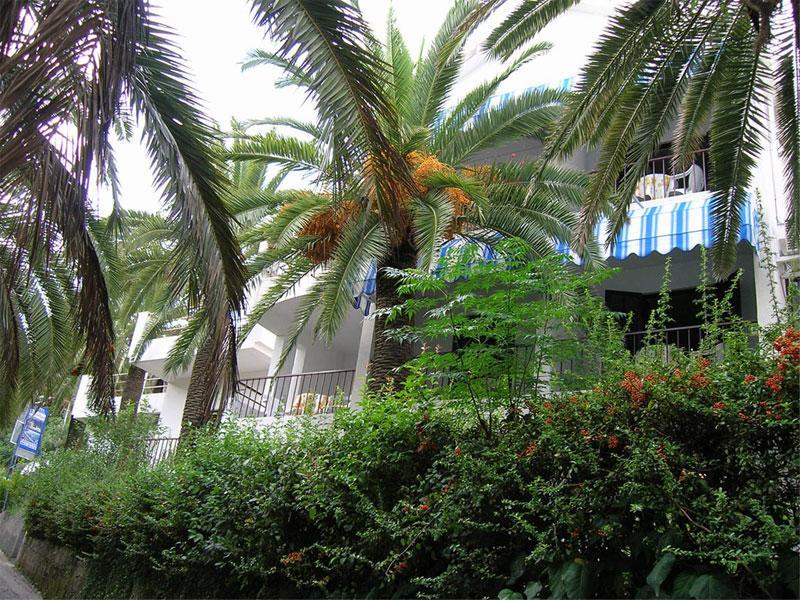 Apartmani I Sobe Goca Herceg Novi Eksteriør bilde