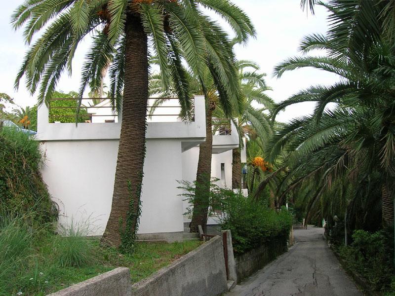Apartmani I Sobe Goca Herceg Novi Eksteriør bilde