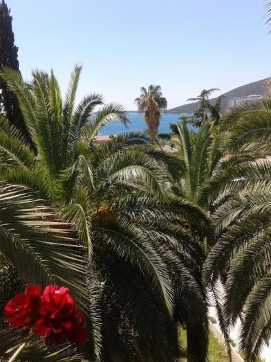 Apartmani I Sobe Goca Herceg Novi Eksteriør bilde
